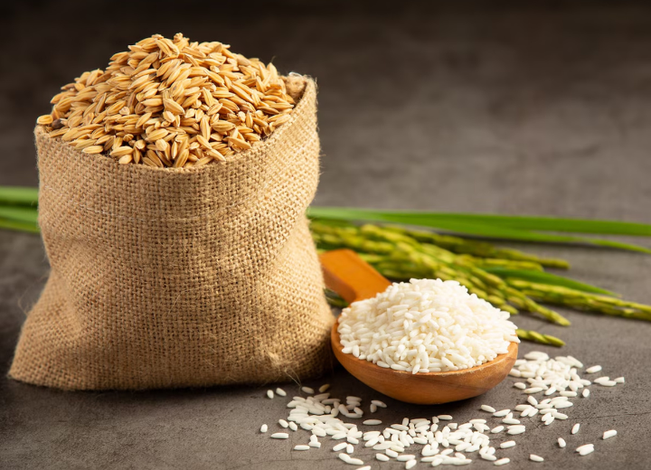 Food Commodities