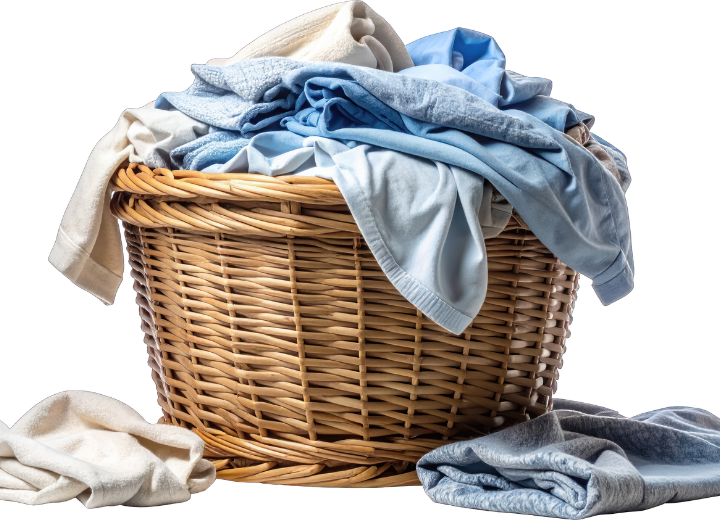 Dry Cleaning and Laundry Services